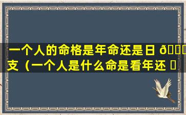 一个人的命格是年命还是日 🍁 支（一个人是什么命是看年还 ☘ 是月还是日）